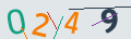 verifycode